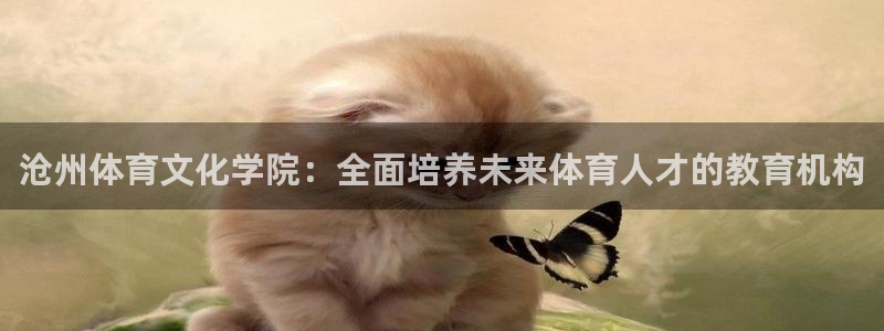 杏鑫f平台注册：沧州体育文化学院：全面培养未来体育人才的教育机构