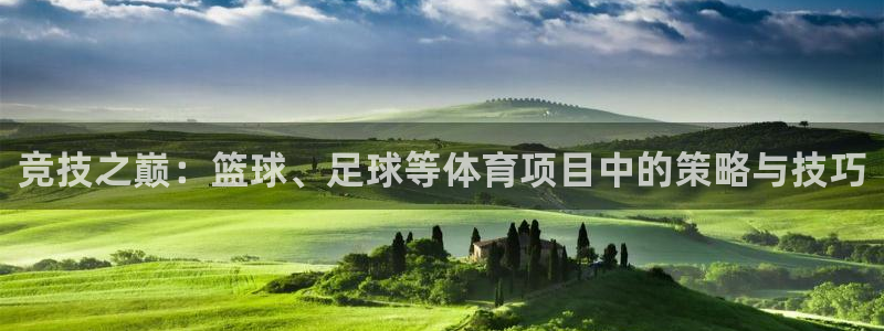 杏鑫能源：竞技之巅：篮球、足球等体育项目中的策略与技巧