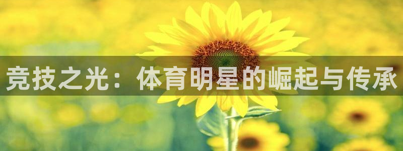杏鑫4：竞技之光：体育明星的崛起与传承