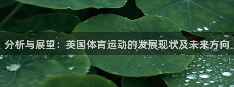 杏鑫平台：分析与展望：英国体育运动的发展现状及未来方向
