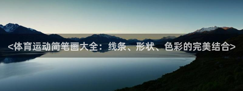 福建杏鑫机电股份公司：<体育运动简笔画大全：线条、形状、色彩的完美结合>