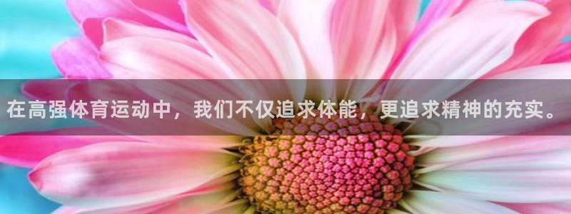 杏鑫kgame：在高强体育运动中，我们不仅追求体能，更追求精神的充实。