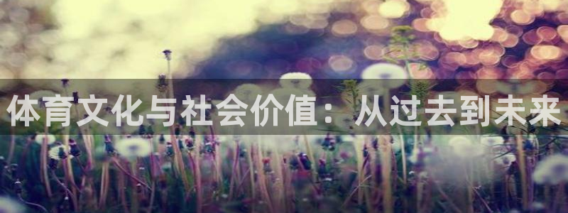 杏鑫2注册：体育文化与社会价值：从过去到未来