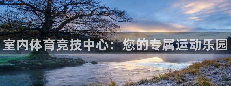 杏鑫5注册：室内体育竞技中心：您的专属运动乐园