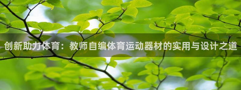 杏鑫5注册：创新助力体育：教师自编体育运动器材的实用与设计之道