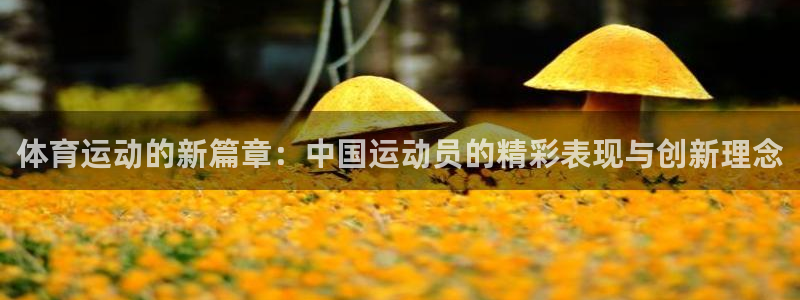 杏鑫体育平台总代理：体育运动的新篇章：中国运动员的精彩表现与创新理念
