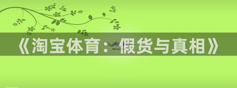 杏鑫体育凯捷登陆：《淘宝体育：假货与真相》