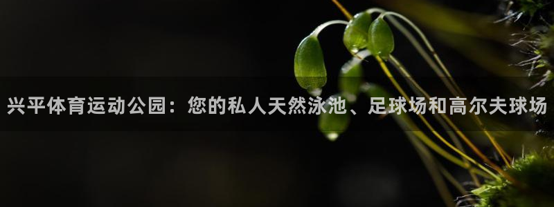 杏鑫3登录：兴平体育运动公园：您的私人天然泳池、足球场和高尔夫球场