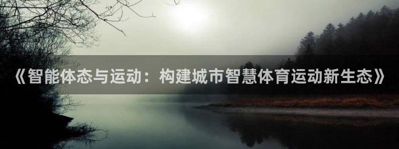 杏鑫4：《智能体态与运动：构建城市智慧体育运动新生态》
