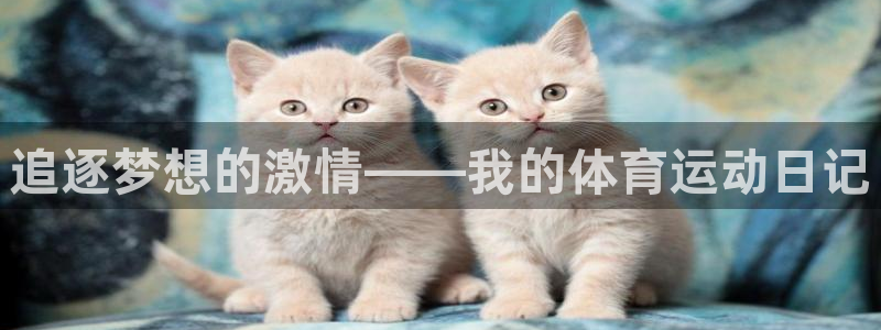 杏鑫体育f开户：追逐梦想的激情——我的体育运动日记