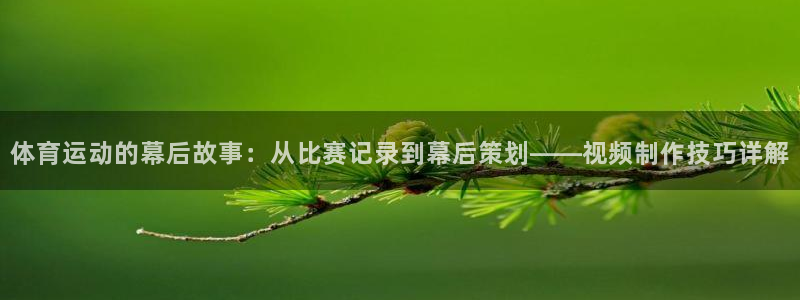 杏鑫体育凯捷平台注册：体育运动的幕后故事：从比赛记录到幕后策划——视频制作技巧详