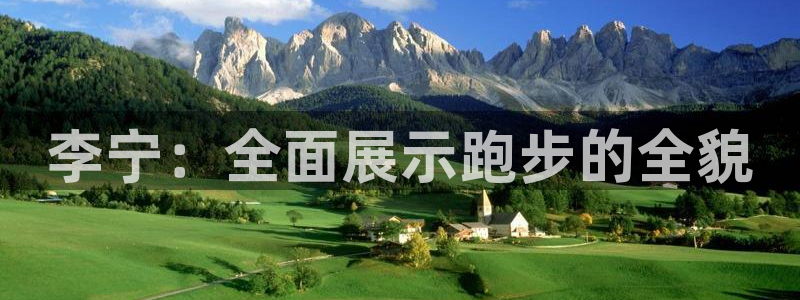 杏鑫集团
