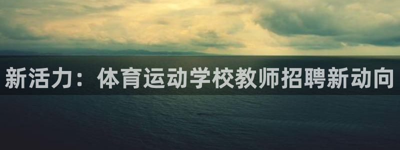 杏鑫体育2：新活力：体育运动学校教师招聘新动向