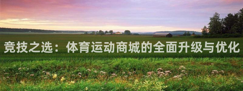 杏鑫4官网：竞技之选：体育运动商城的全面升级与优化