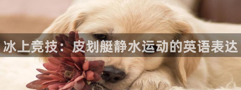 杏鑫体育注册登录入口：冰上竞技：皮划艇静水运动的英语表达
