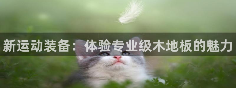 杏鑫5招商：新运动装备：体验专业级木地板的魅力
