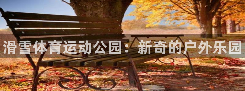 杏鑫2体育登录入口：滑雪体育运动公园：新奇的户外乐园