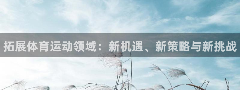 杏鑫4代理：拓展体育运动领域：新机遇、新策略与新挑战