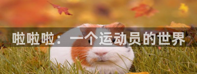 杏鑫f平台注册：啦啦啦：一个运动员的世界