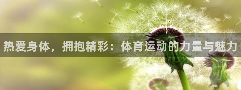 杏鑫体育凯捷登陆：热爱身体，拥抱精彩：体育运动的力量与魅力