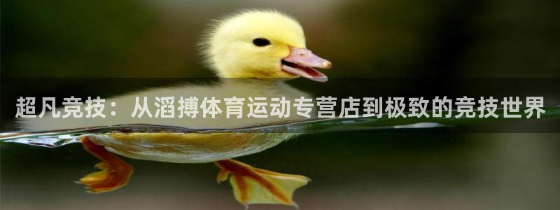 杏鑫5注册：超凡竞技：从滔搏体育运动专营店到极致的竞技世界