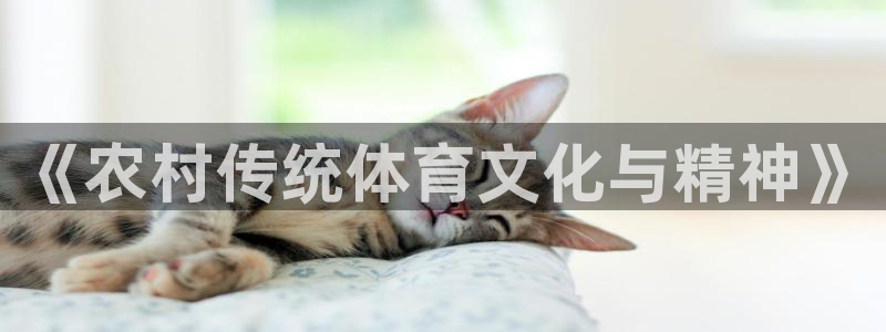 www.杏鑫体育.com：《农村传统体育文化与精神》