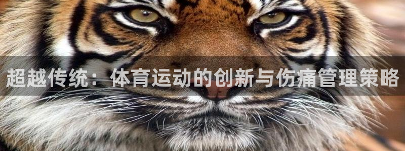 杏鑫电子有限公司：超越传统：体育运动的创新与伤痛管理策略