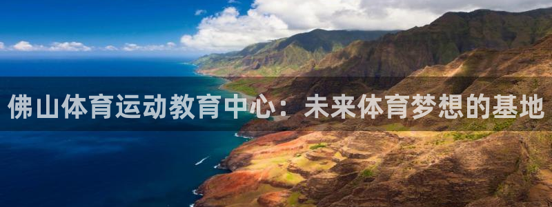 杏鑫2登录：佛山体育运动教育中心：未来体育梦想的基地